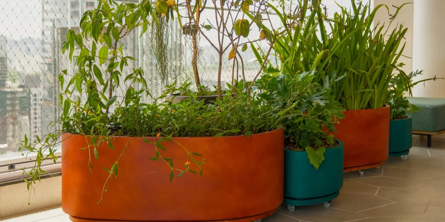 Floreiras de terracota e verde-escuro com vegetação nativa em uma varanda, com o skyline de São Paulo ao fundo