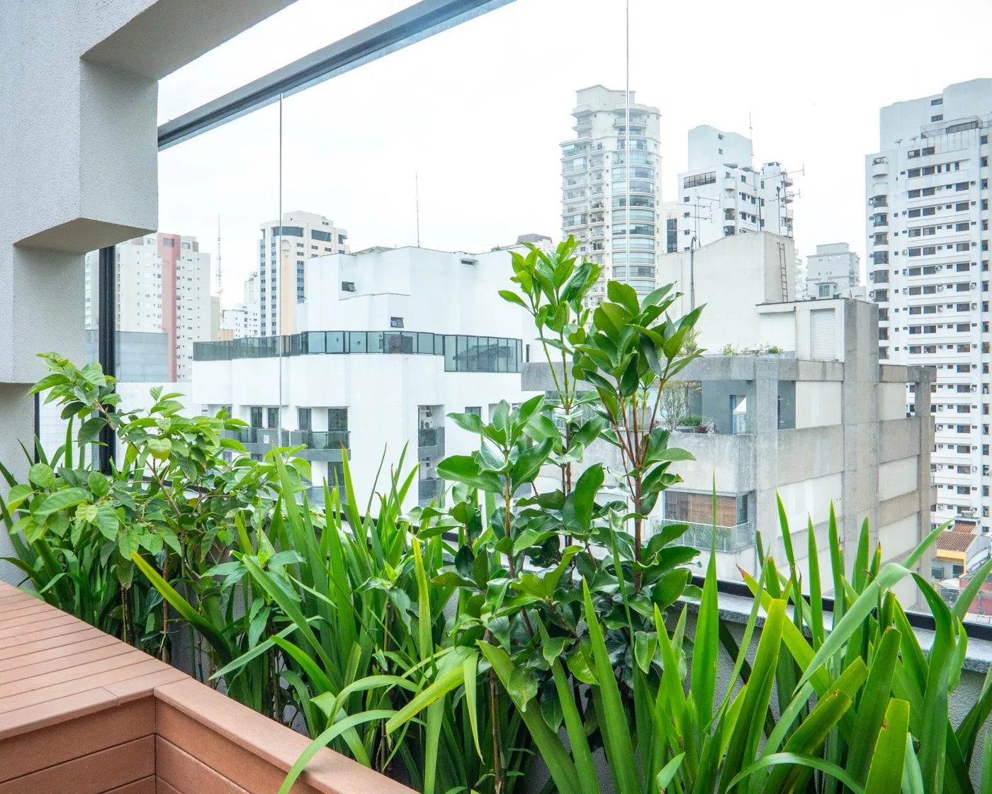 Floreira do banco com grumixama, gabiroba e neomarica, com vista para a cidade