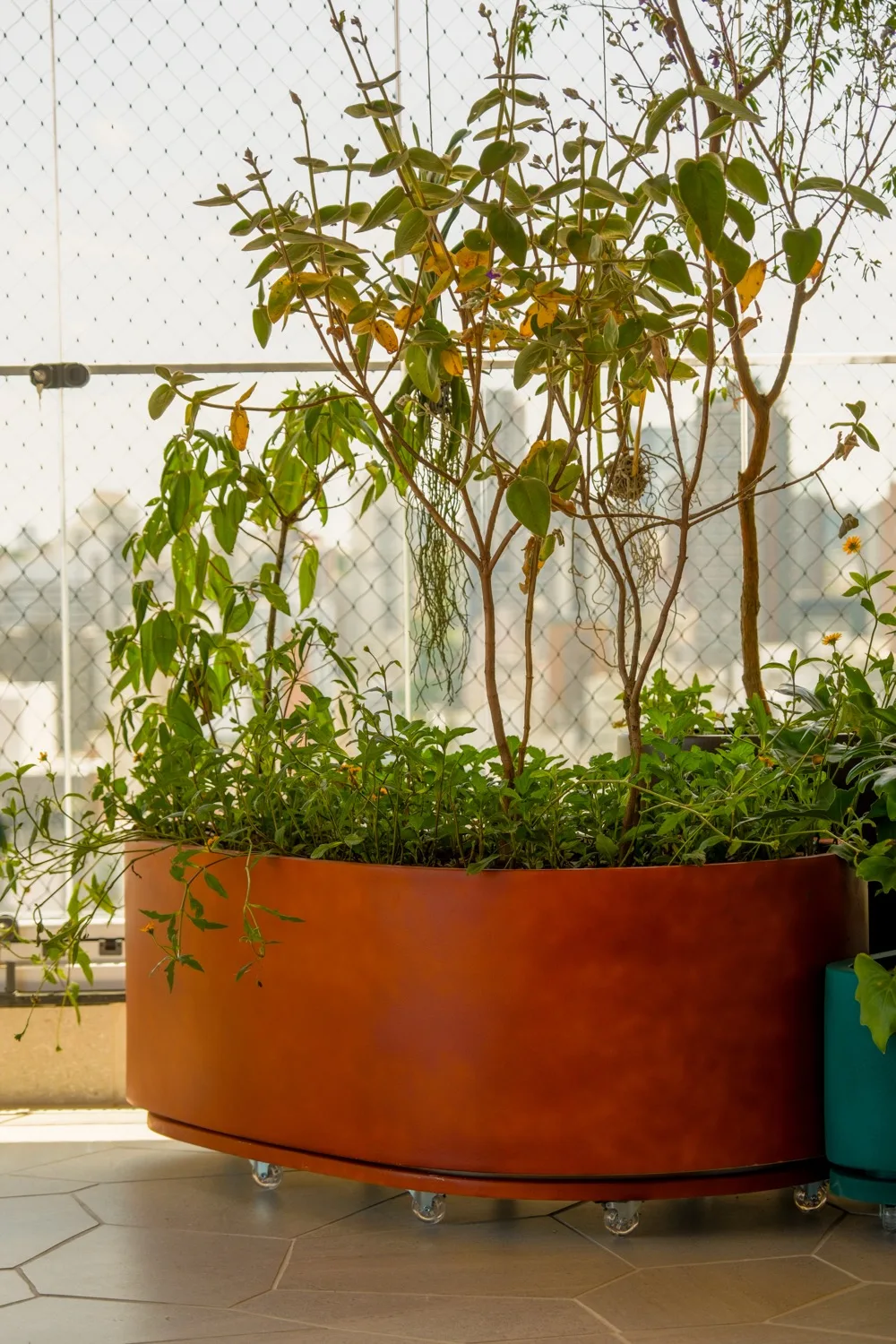 Vegetação do terraço e skyline