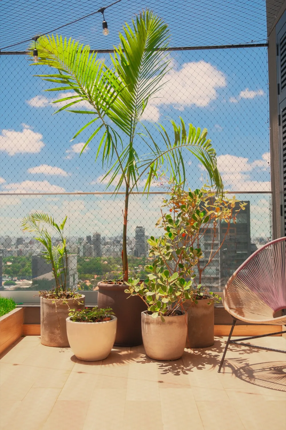 Detalhe de espaço externo antes da composição, com estrutura e vegetação existentes
