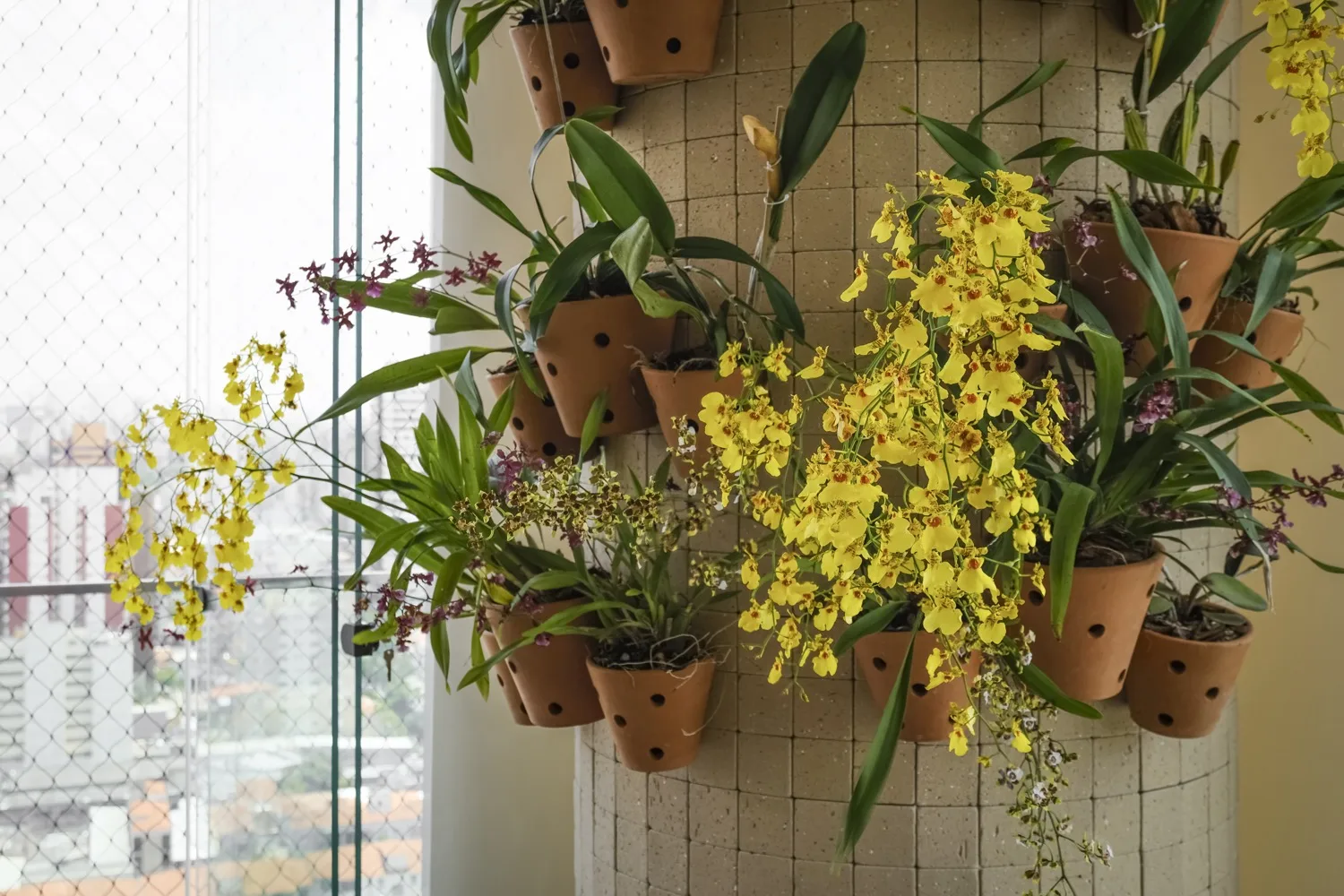 Jardim projetado pela REURBE, com vegetação nativa em composição densa
