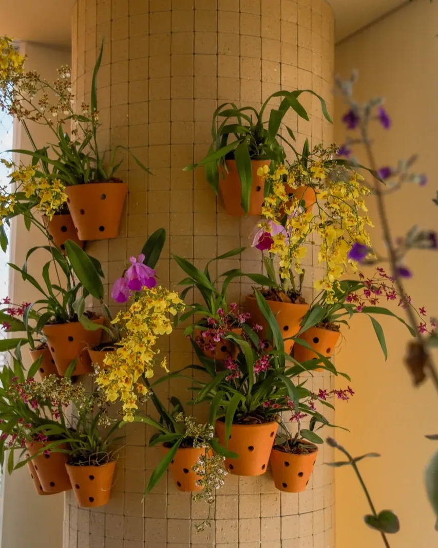 Projeto Uvaia — orquídeas e vegetação com vista de São Paulo
